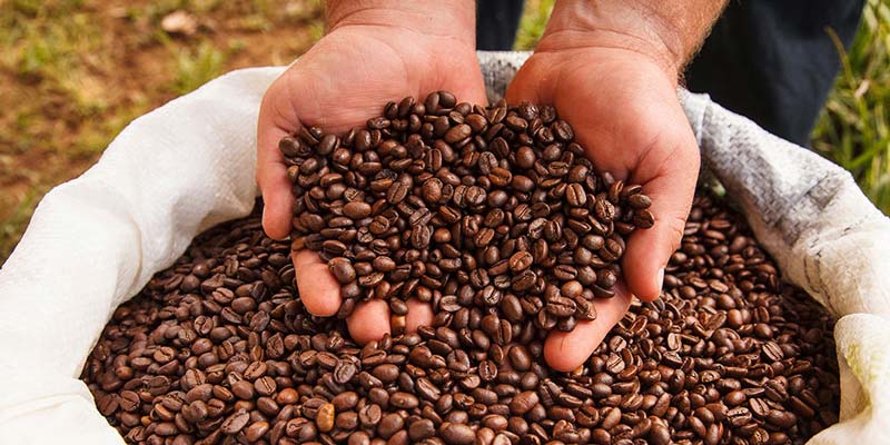 Internationalen Kaffeetag - Was ist das und Wofür?