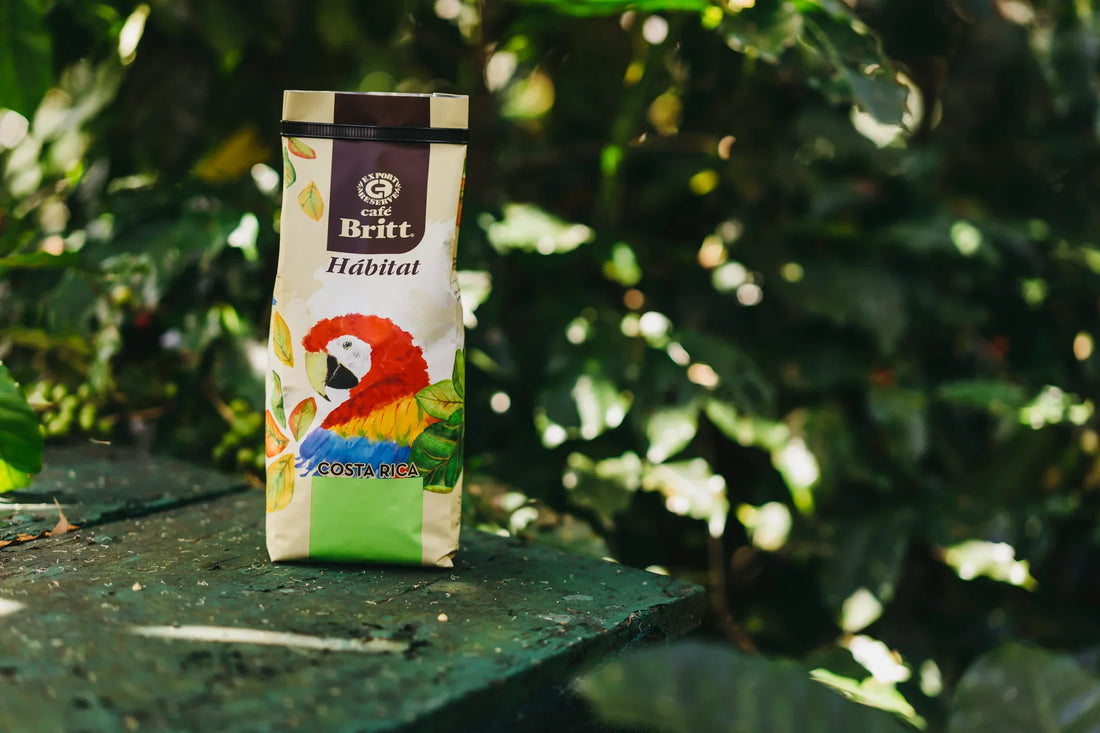 Kaffee aus Costa Rica – Exzellenter Genuss aus dem Herzen Mittelamerikas ☕🇨🇷