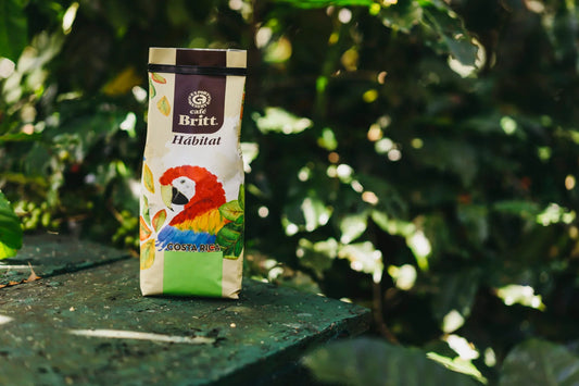 Kaffee aus Costa Rica – Exzellenter Genuss aus dem Herzen Mittelamerikas ☕🇨🇷